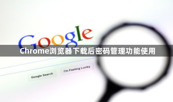 Chrome浏览器下载后密码管理功能使用1