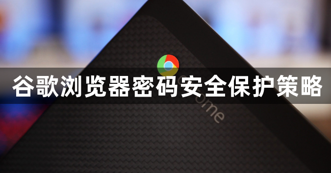 谷歌浏览器密码安全保护策略1
