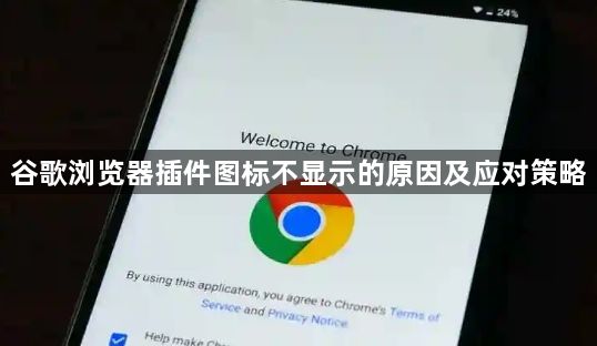 谷歌浏览器插件图标不显示的原因及应对策略1