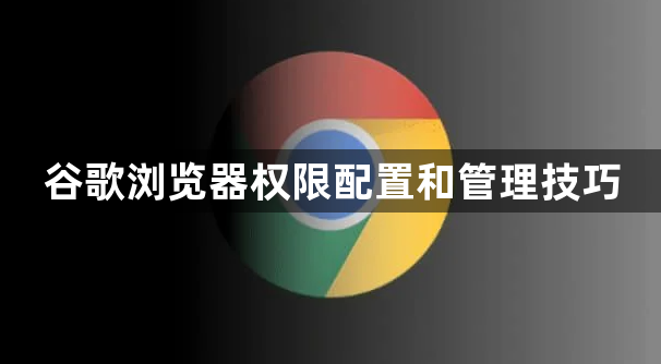 谷歌浏览器权限配置和管理技巧1
