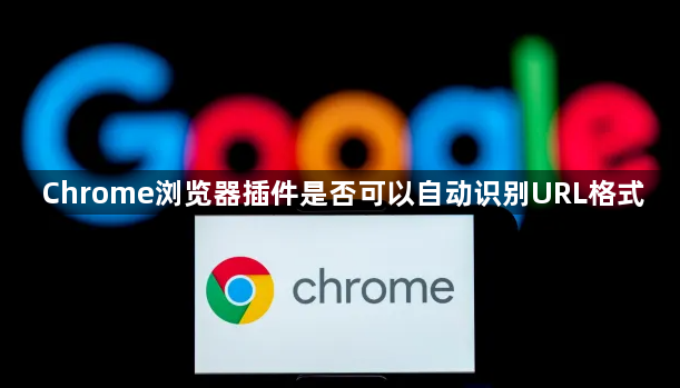 Chrome浏览器插件是否可以自动识别URL格式1