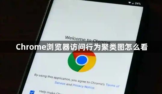 Chrome浏览器访问行为聚类图怎么看1