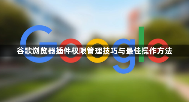 谷歌浏览器插件权限管理技巧与最佳操作方法1