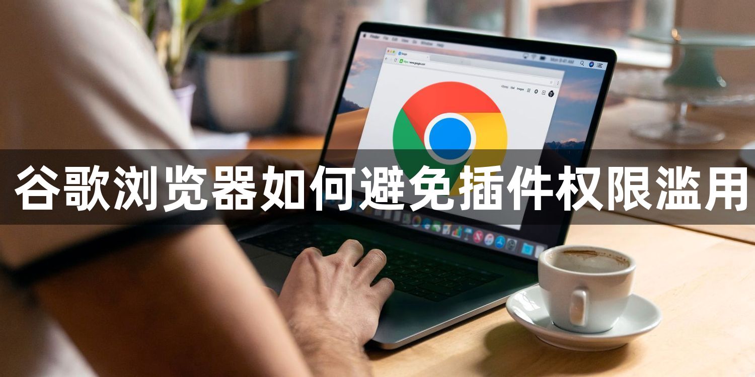 谷歌浏览器如何避免插件权限滥用1