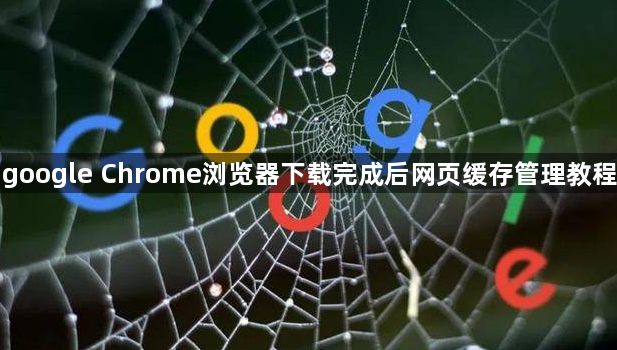 google Chrome浏览器下载完成后网页缓存管理教程1