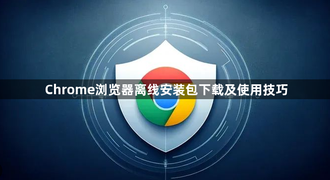 Chrome浏览器离线安装包下载及使用技巧1