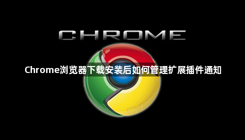 Chrome浏览器下载安装后如何管理扩展插件通知1