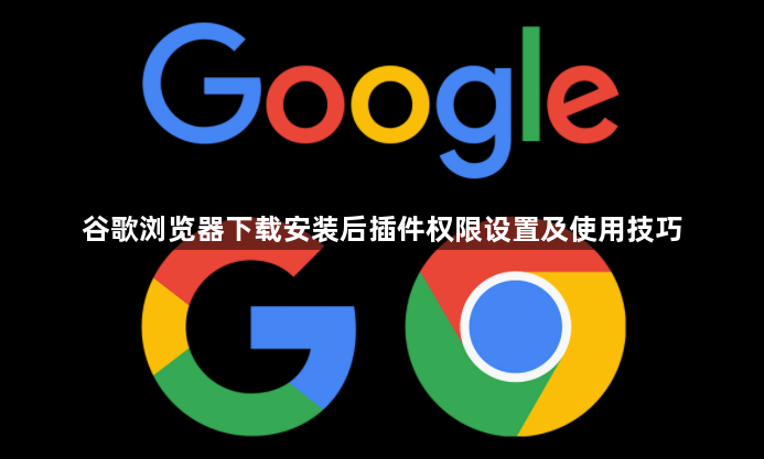 谷歌浏览器下载安装后插件权限设置及使用技巧1