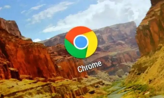 Chrome浏览器网页加载异常排查使用方法