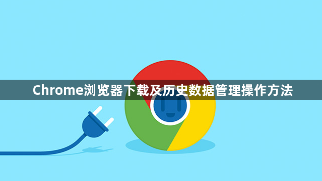 Chrome浏览器下载及历史数据管理操作方法1