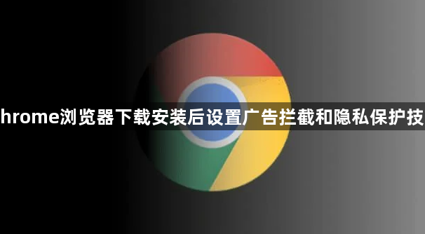 Chrome浏览器下载安装后设置广告拦截和隐私保护技巧1