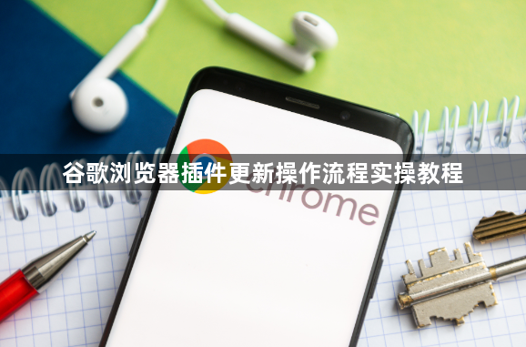 谷歌浏览器插件更新操作流程实操教程1