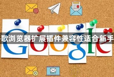 谷歌浏览器扩展插件兼容性适合新手吗1