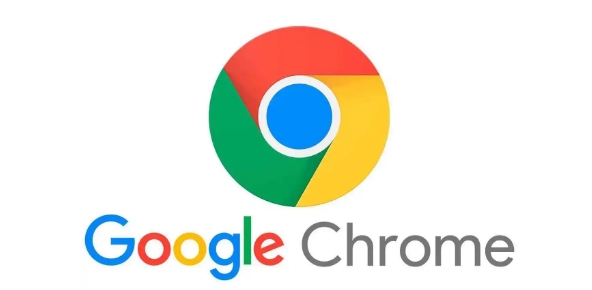Chrome浏览器企业版快速安装操作全流程解析