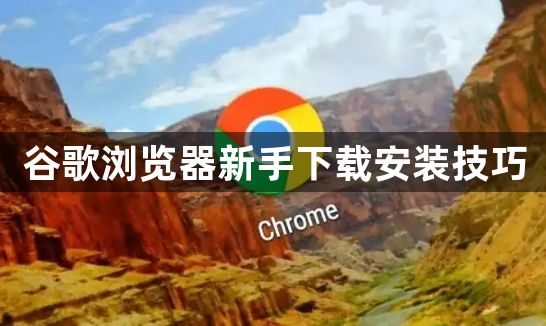 谷歌浏览器新手下载安装技巧1