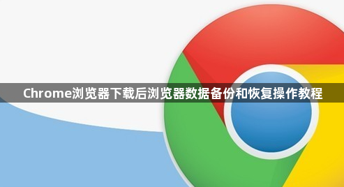 Chrome浏览器下载后浏览器数据备份和恢复操作教程1