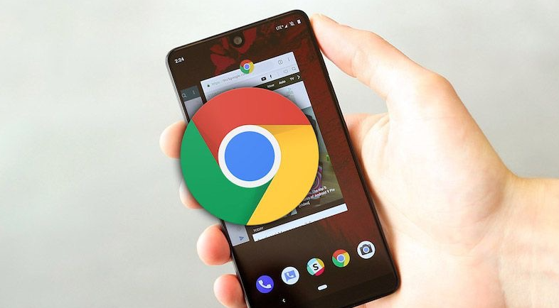 google浏览器首次安装插件权限快速设置操作技巧