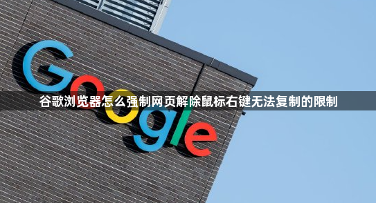 谷歌浏览器怎么强制网页解除鼠标右键无法复制的限制1